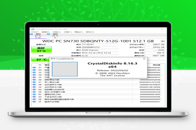 CrystalDiskInfo v8.17.6正式版 +检测工具-危笑云资源网