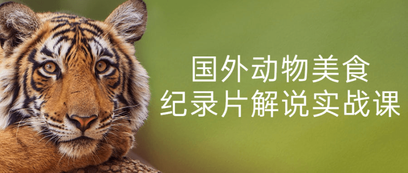 国外动物美食纪录片解说实战课-危笑云资源网