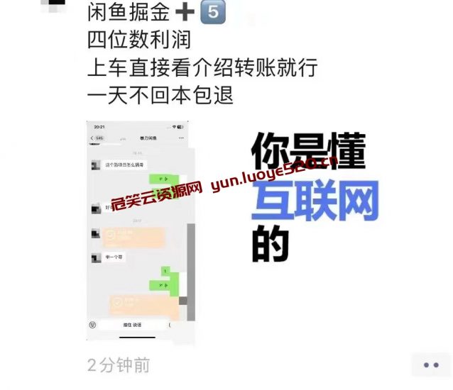 信息差闲鱼挖金项目：单日利润100+-危笑云资源网