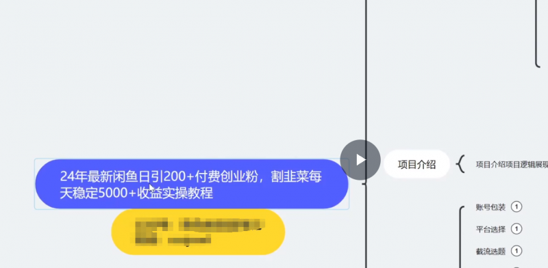 2024年最新闲鱼日引200+付费创业粉，割韭菜每天5000+收益实操教程！-危笑云资源网