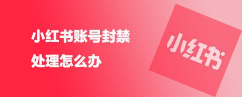 2024小红书最新解除设备教程-危笑云资源网