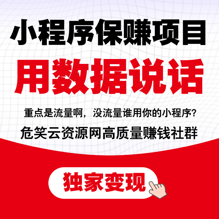 小程序保赚项目，独家变现，日均收益800+-危笑云资源网