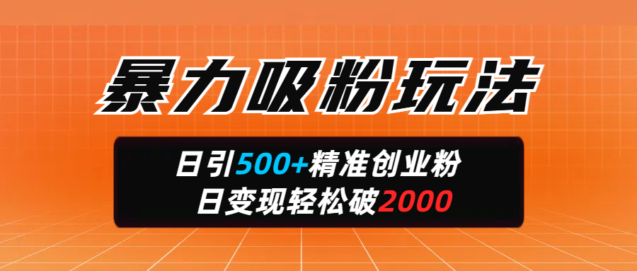 QQ里面的流量密码！高效策略，单日狂揽500+精准创业粉-危笑云资源网